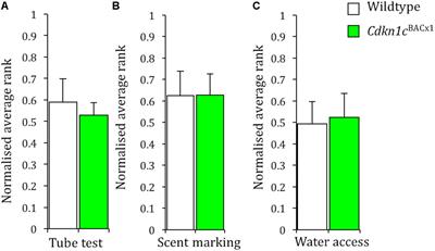 Territorial Behavior and Social Stability in the Mouse Require Correct Expression of Imprinted Cdkn1c